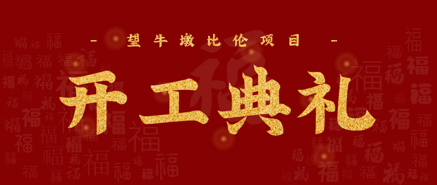 比倫項(xiàng)目開工典禮在望牛墩鎮(zhèn)隆重舉行